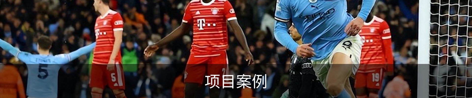 项目案例